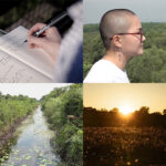 Four images from the Peat on Earth project. Close-up of poet Matt Sowerby's hands writing notes in a notebook; poet Kimchi Lai looking out over a forest; stream of water running through a forest; sunset over a peat bog.