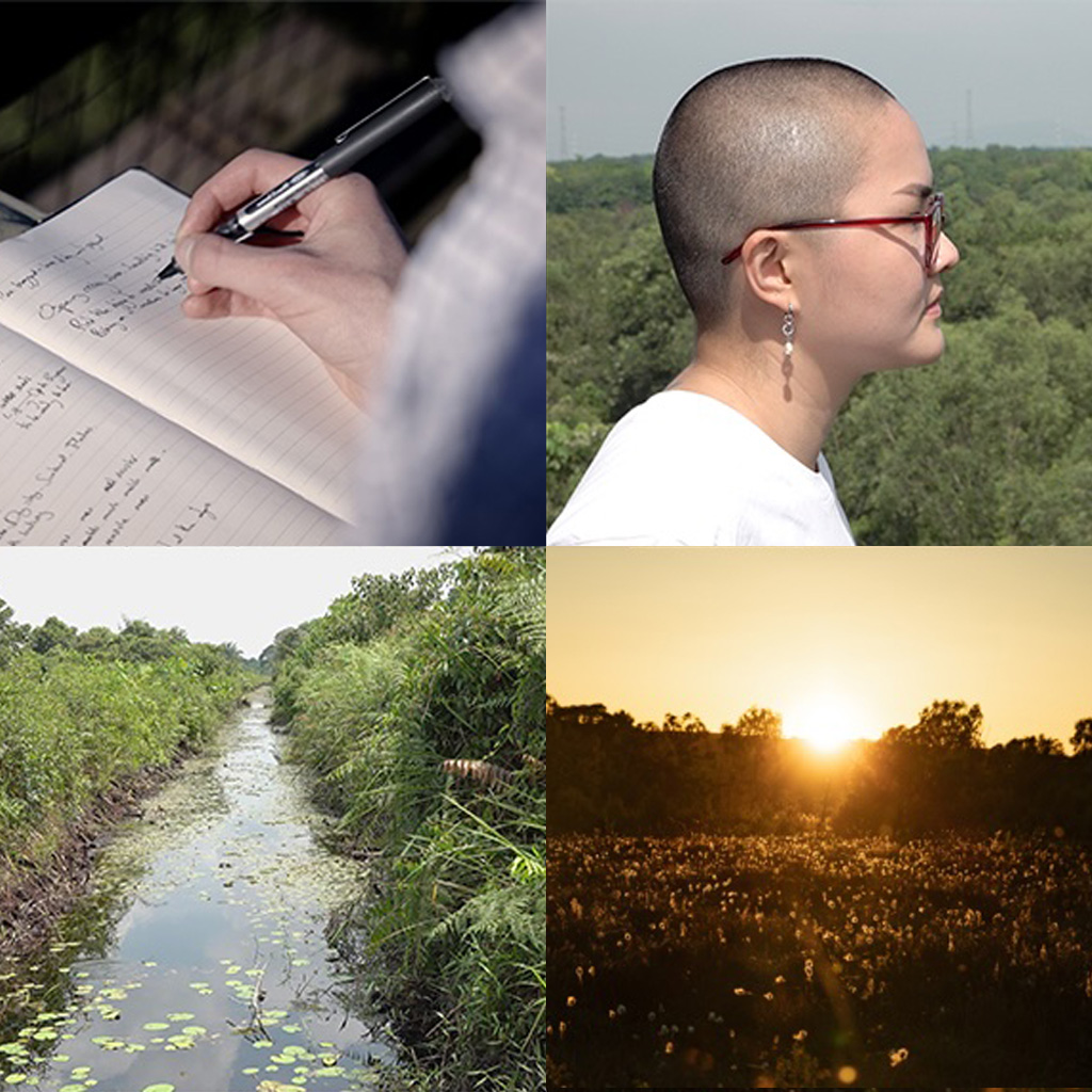 Four images from the Peat on Earth project. Close-up of poet Matt Sowerby's hands writing notes in a notebook; poet Kimchi Lai looking out over a forest; stream of water running through a forest; sunset over a peat bog.